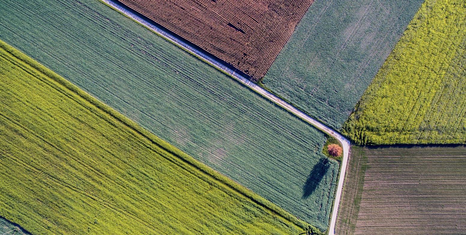 YEIDA Plot Buying: The Do's and Don'ts Nobody Tells First-Time Investors