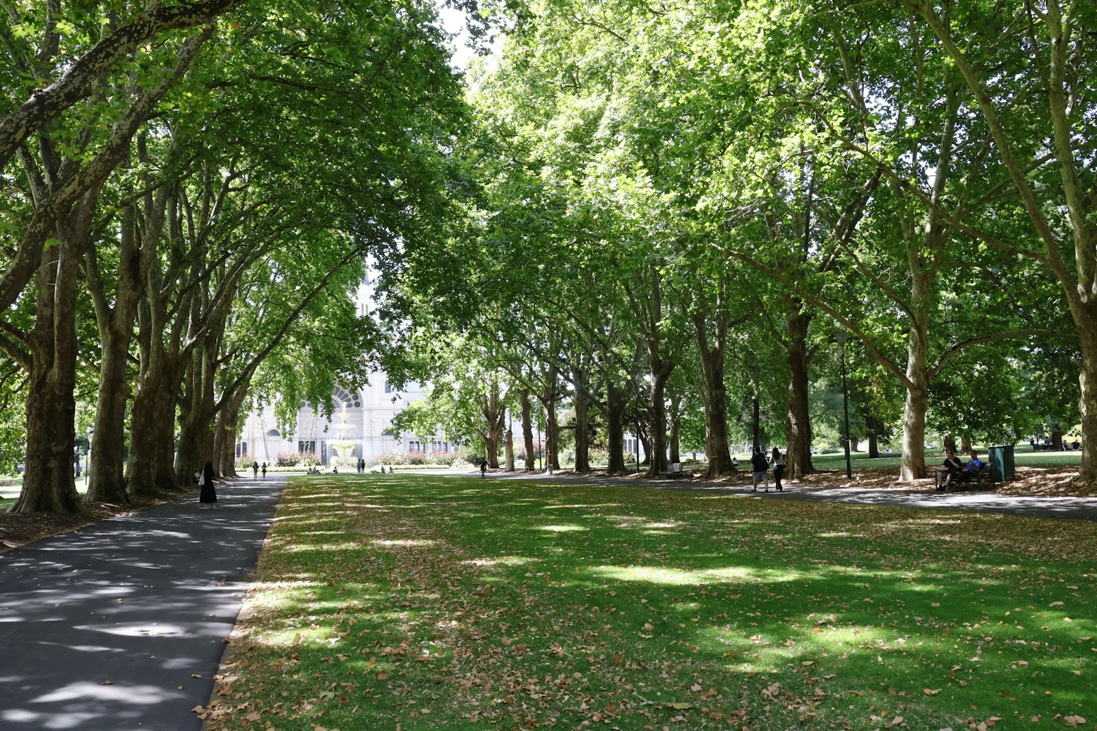 5 Green Escapes in Greater Noida for Morning Walks, Picnics and Slow Weekends