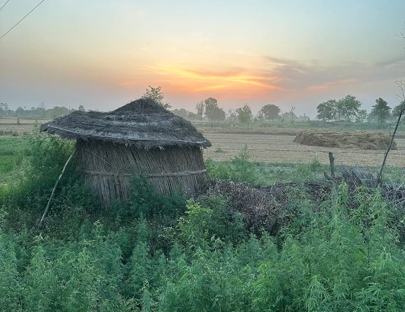 Buy Agricultural Land in Greater Noida: 9 Checks Before You Pay